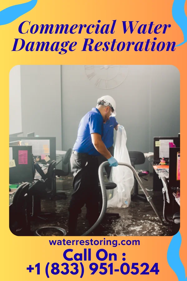 Commercial Water Damage Restoration in Society Hill, SC