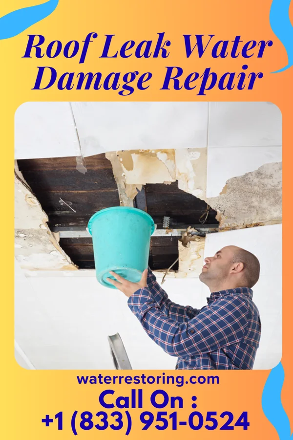 Roof Leak Water Damage Repair in Society Hill, SC