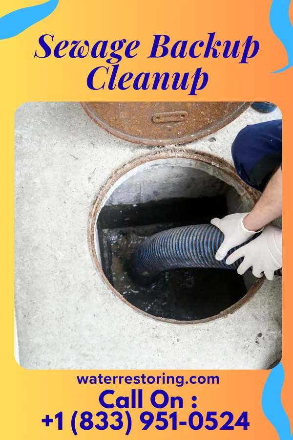 Sewage Backup Cleanup in Society Hill, SC